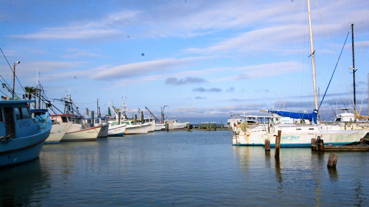 Photo of Others in Fulton