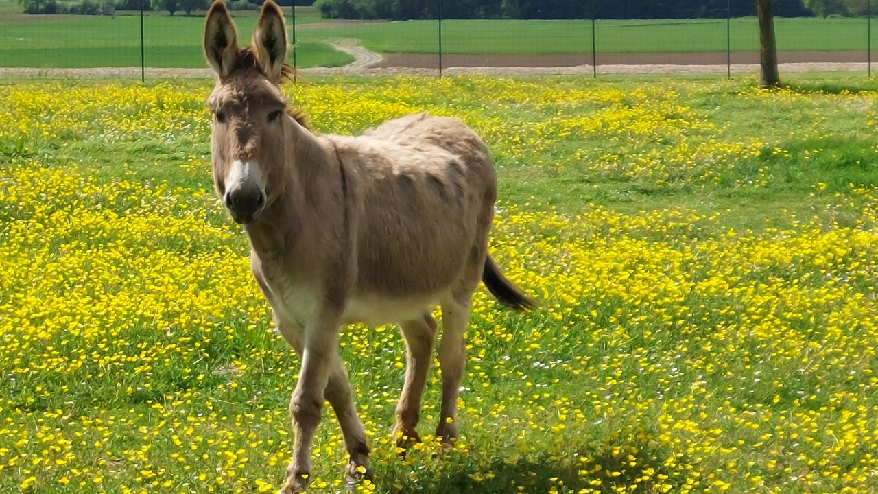 Photo of Others in Lerne