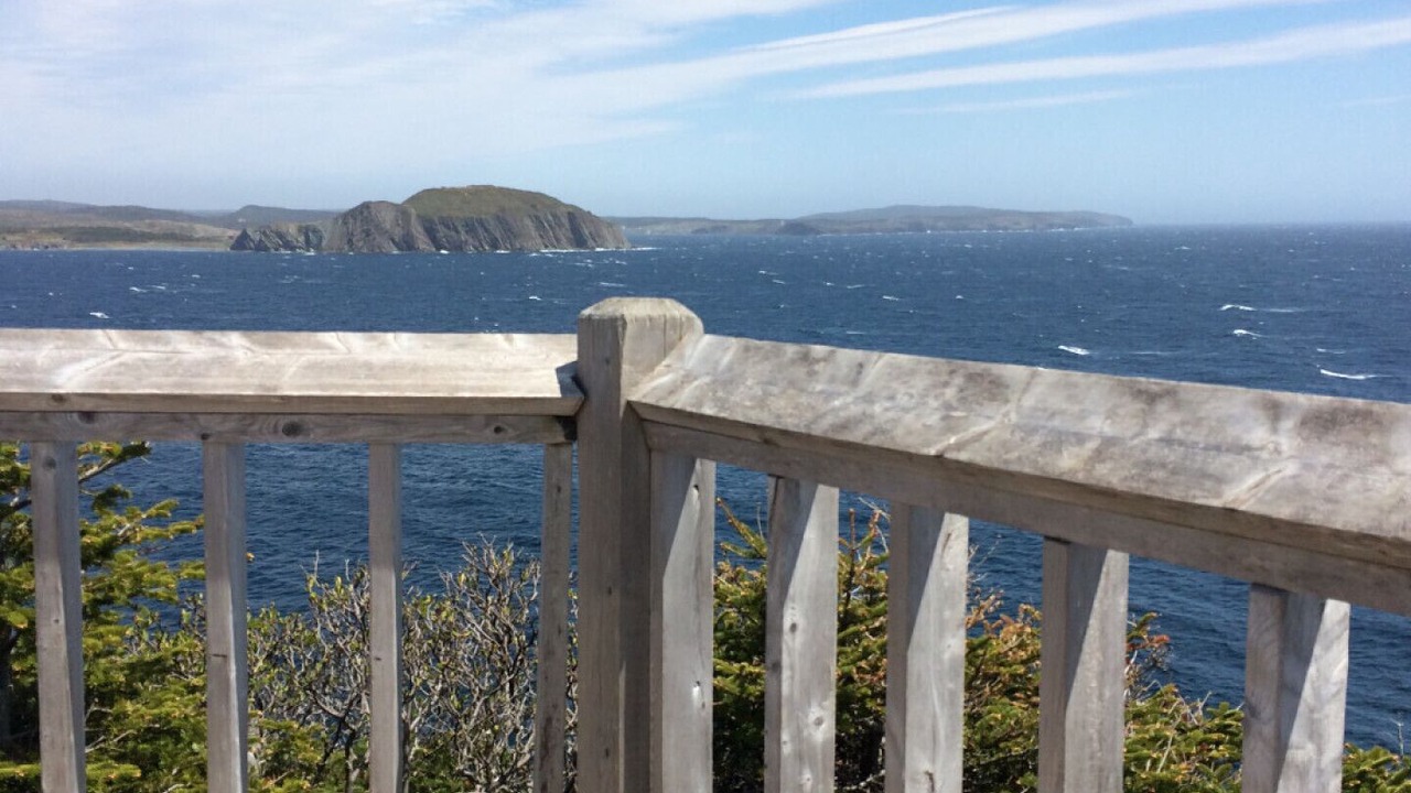 Photo of Others in Port Rexton