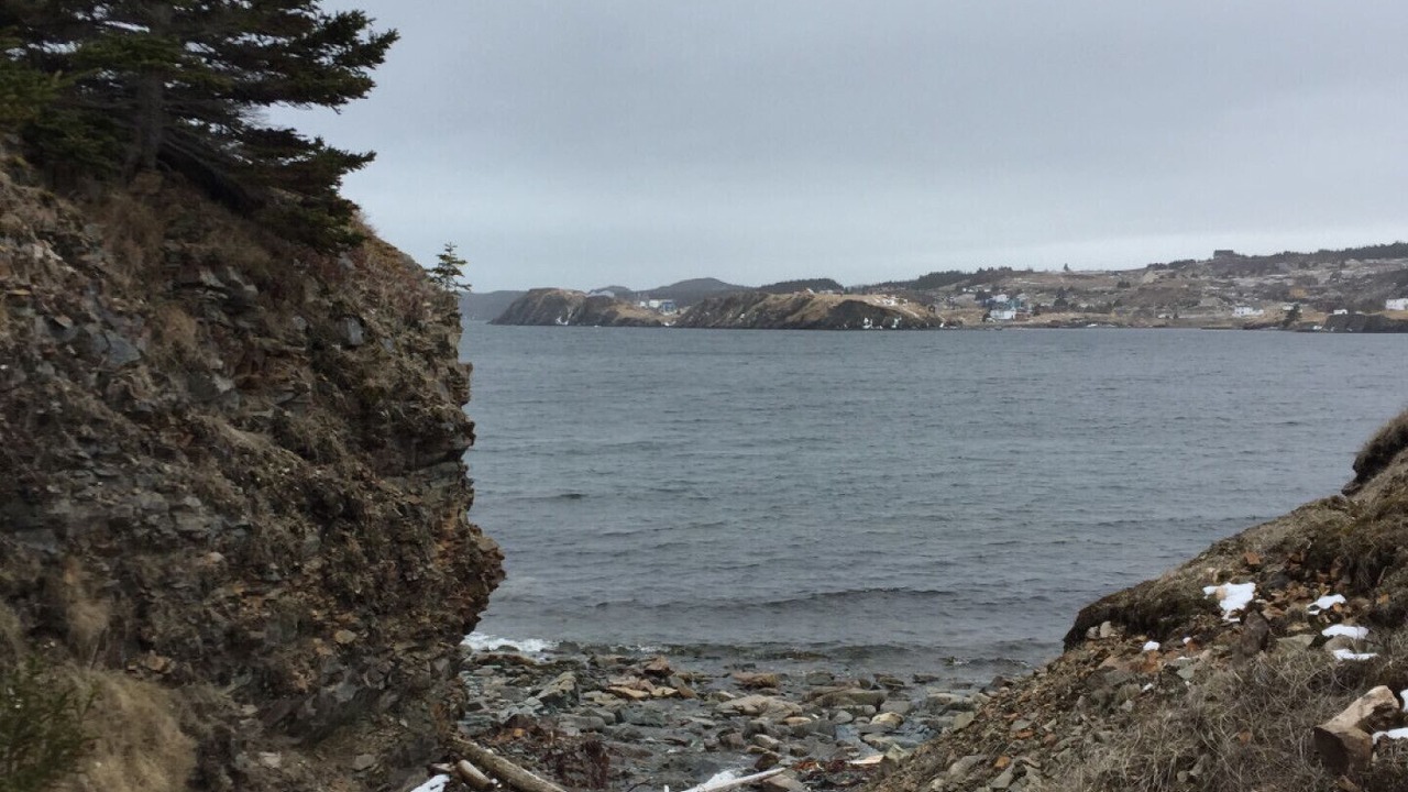 Photo of Others in Port Rexton