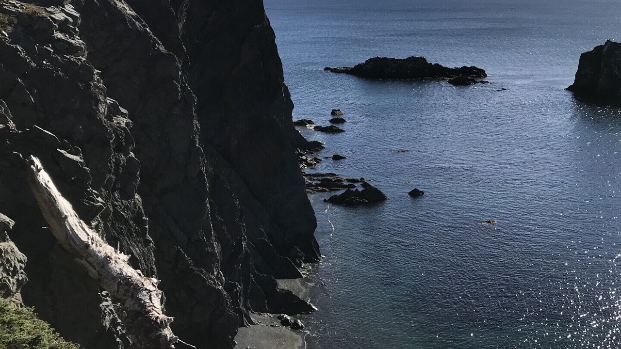 Photo of Others in Port Rexton