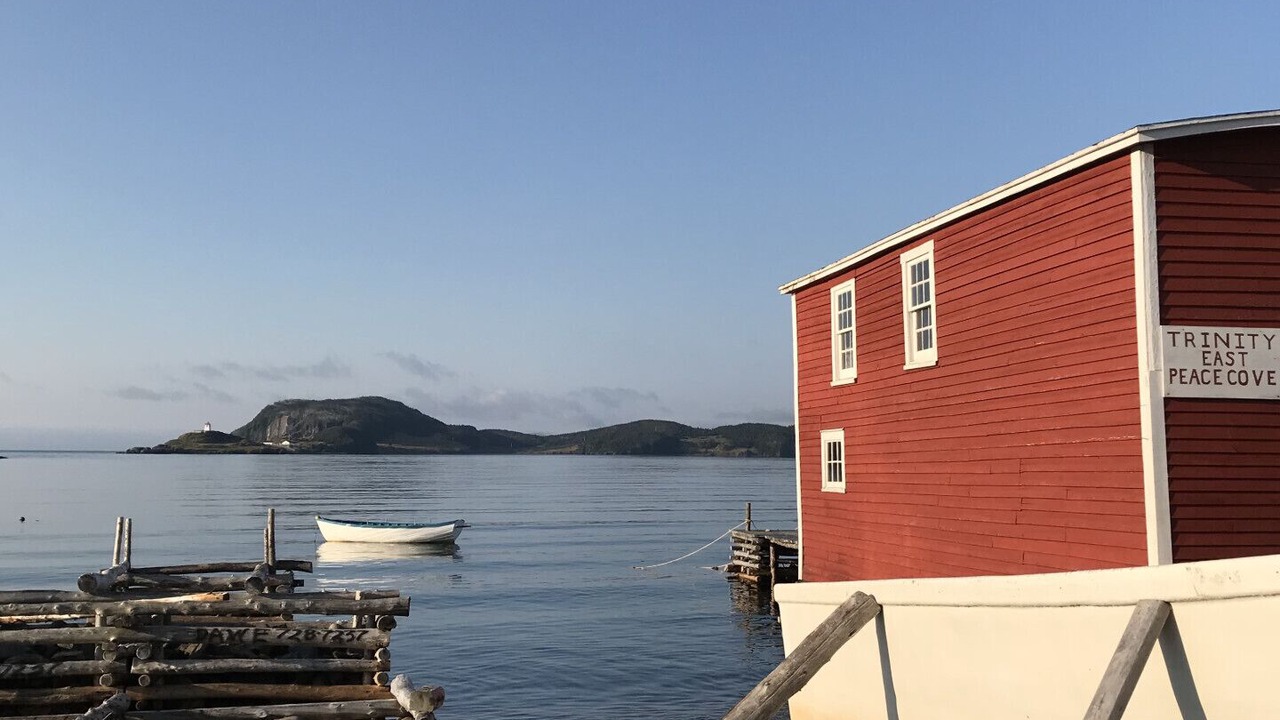 Photo of Others in Port Rexton