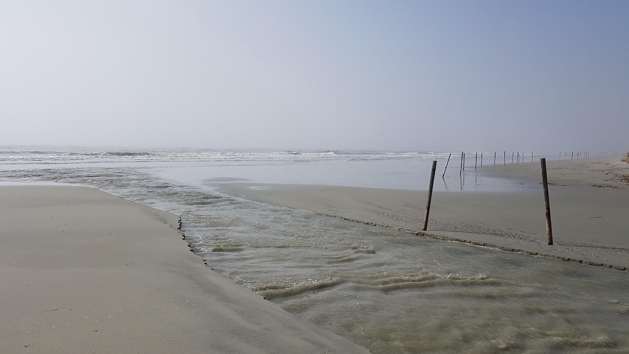 Photo of Others in Saint Helena Island