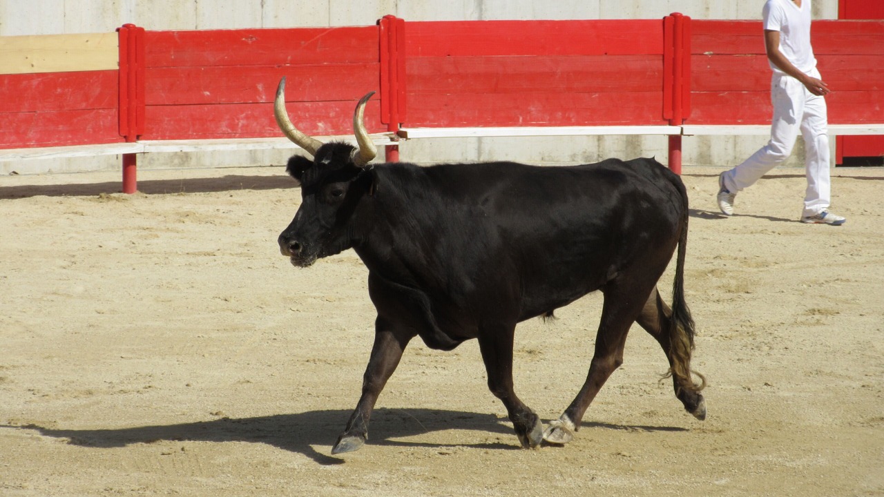 Photo of Others in Collorgues