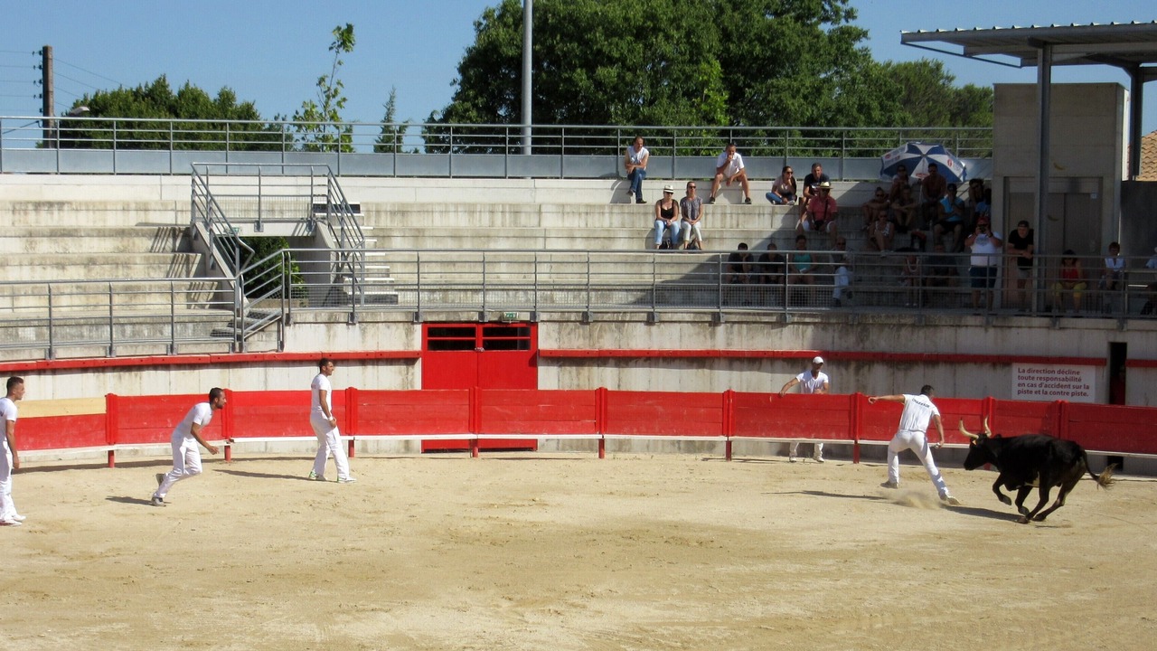 Photo of Others in Collorgues