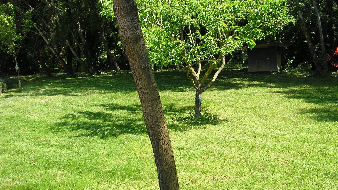 Photo of Outdoor in Aigremont
