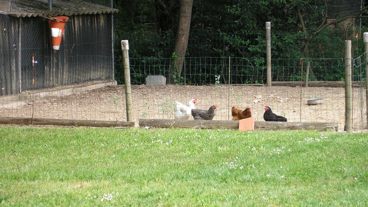 Photo of Others in Aigremont