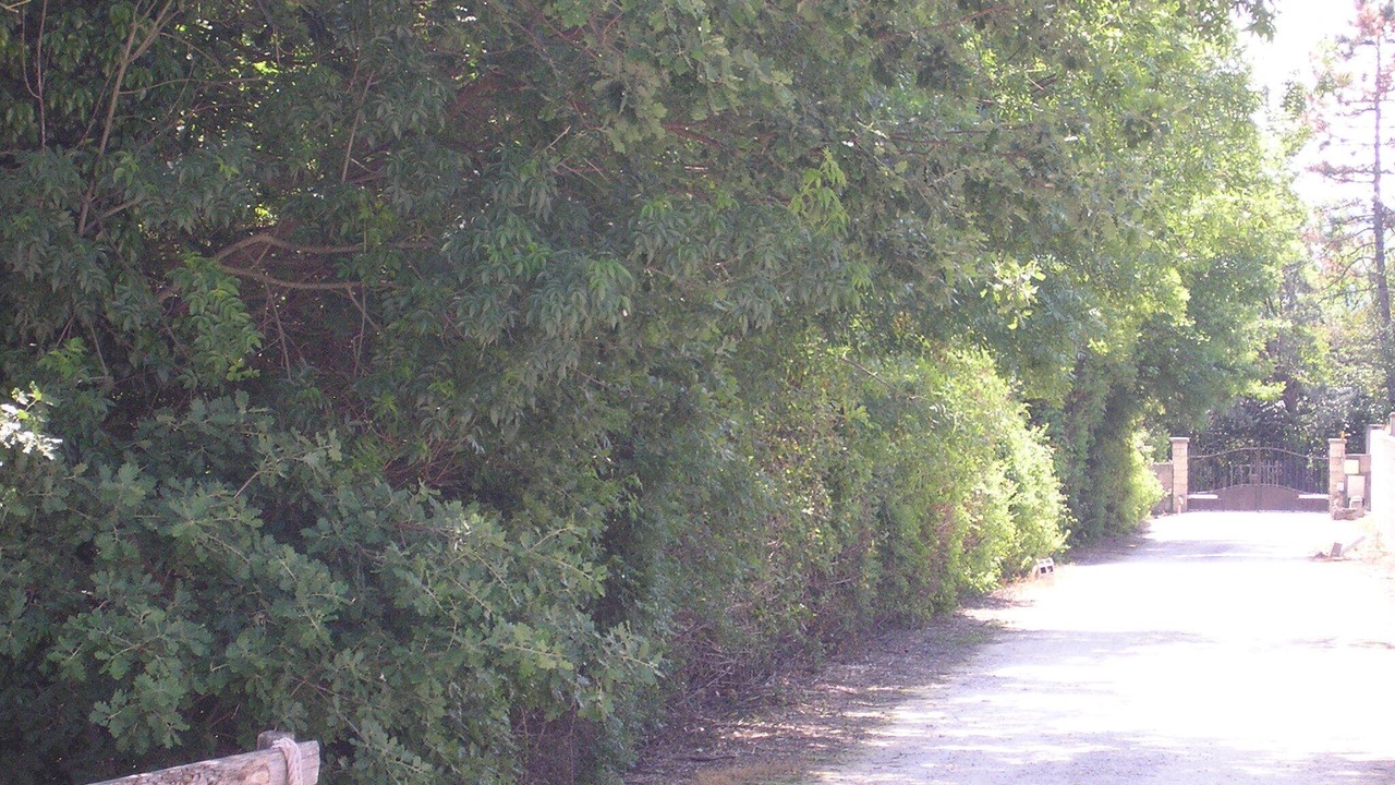 Photo of Outdoor in Aigremont
