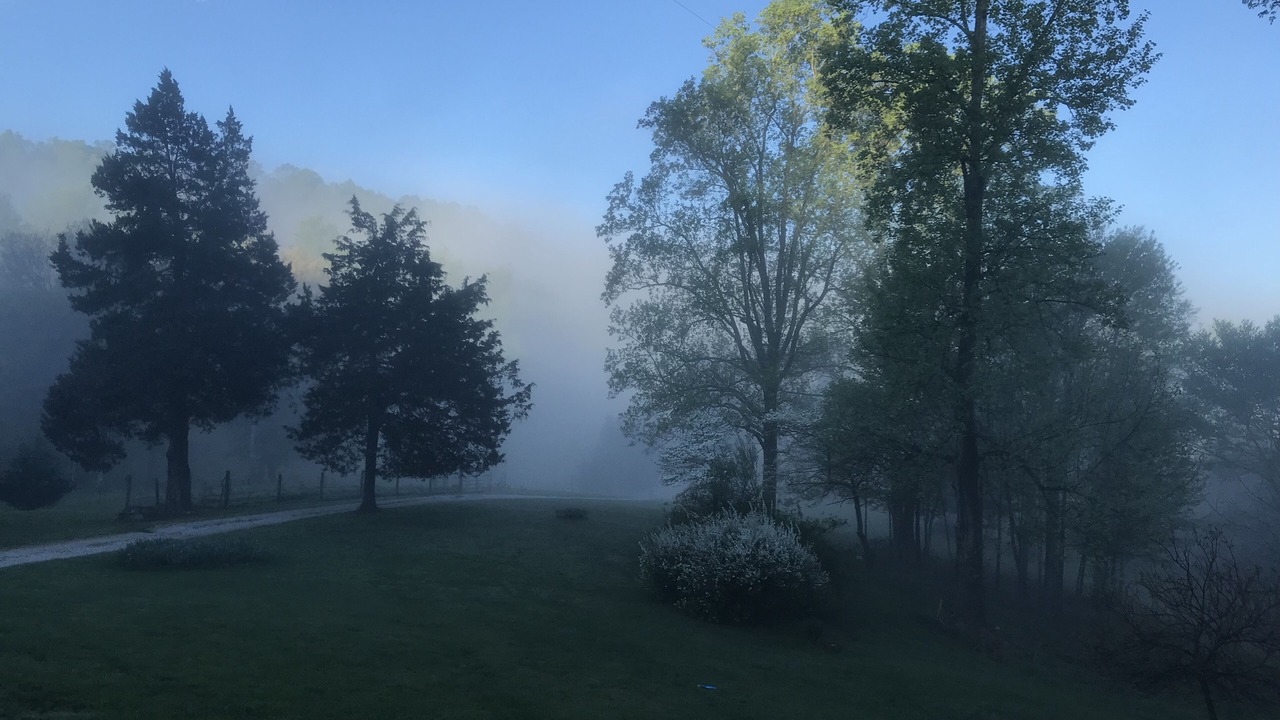 Photo of Outdoor in Clifford