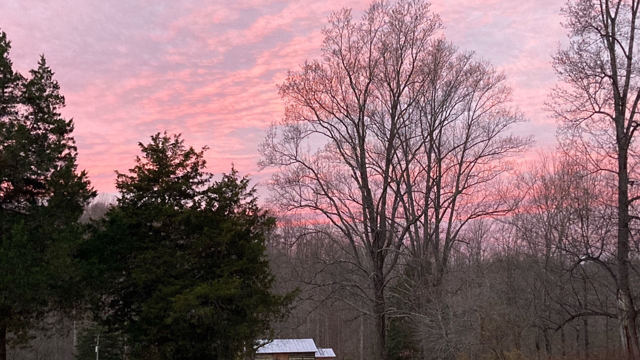 Photo of Outdoor in Clifford