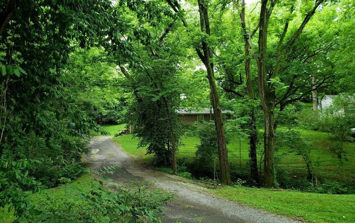 Photo of Others in Donelson Hills