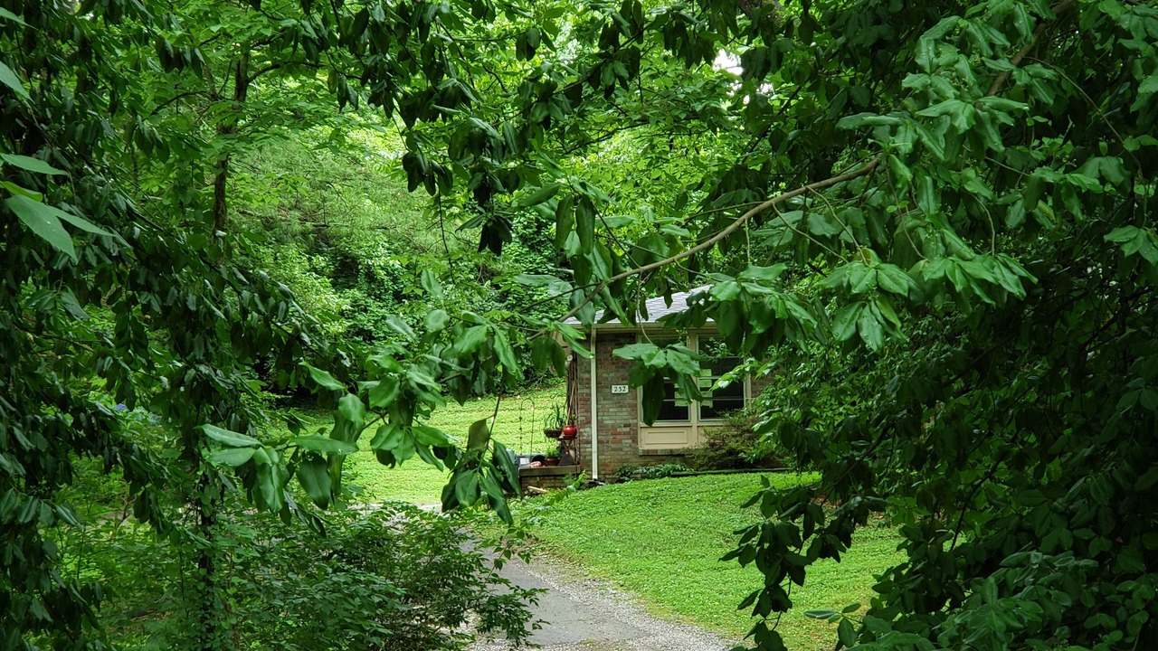 Photo of Others in Donelson Hills