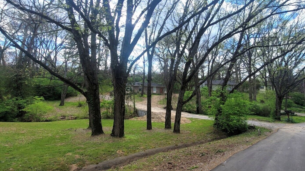 Photo of Outdoor in Donelson Hills