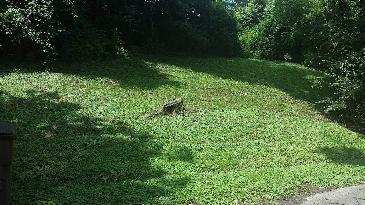 Photo of Outdoor in Donelson Hills