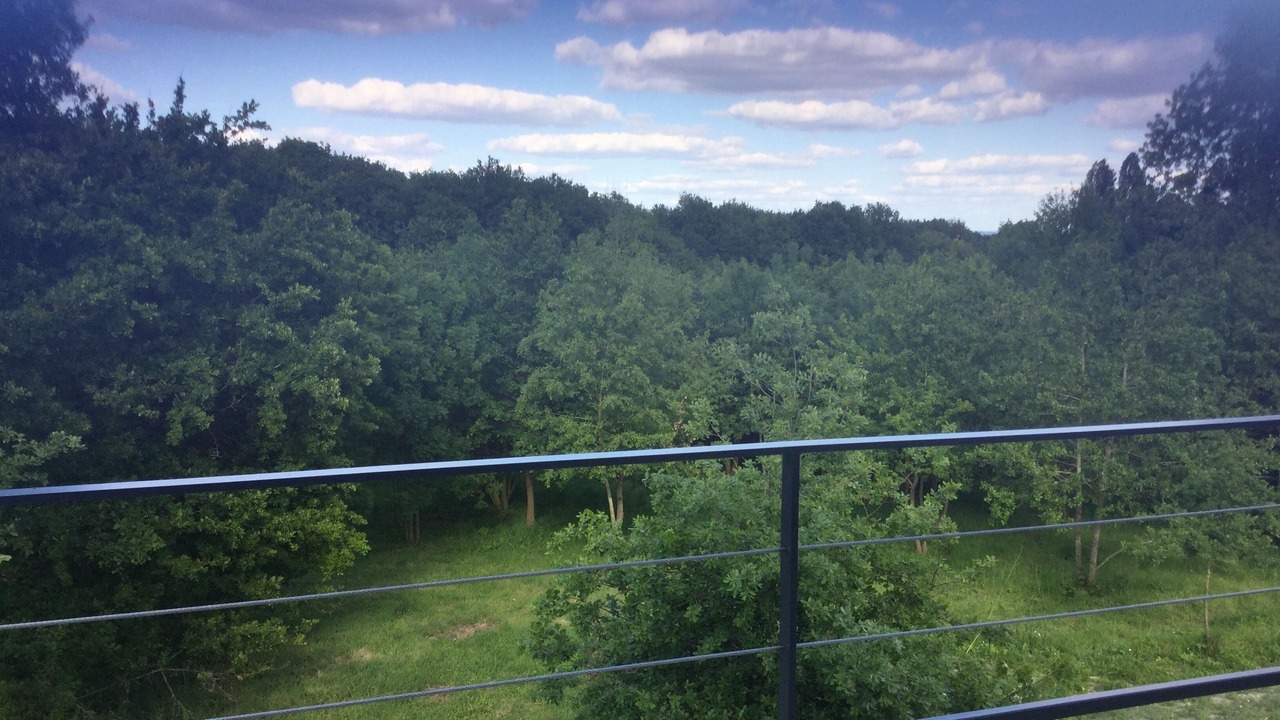 Photo of Outdoor in Le Thoureil