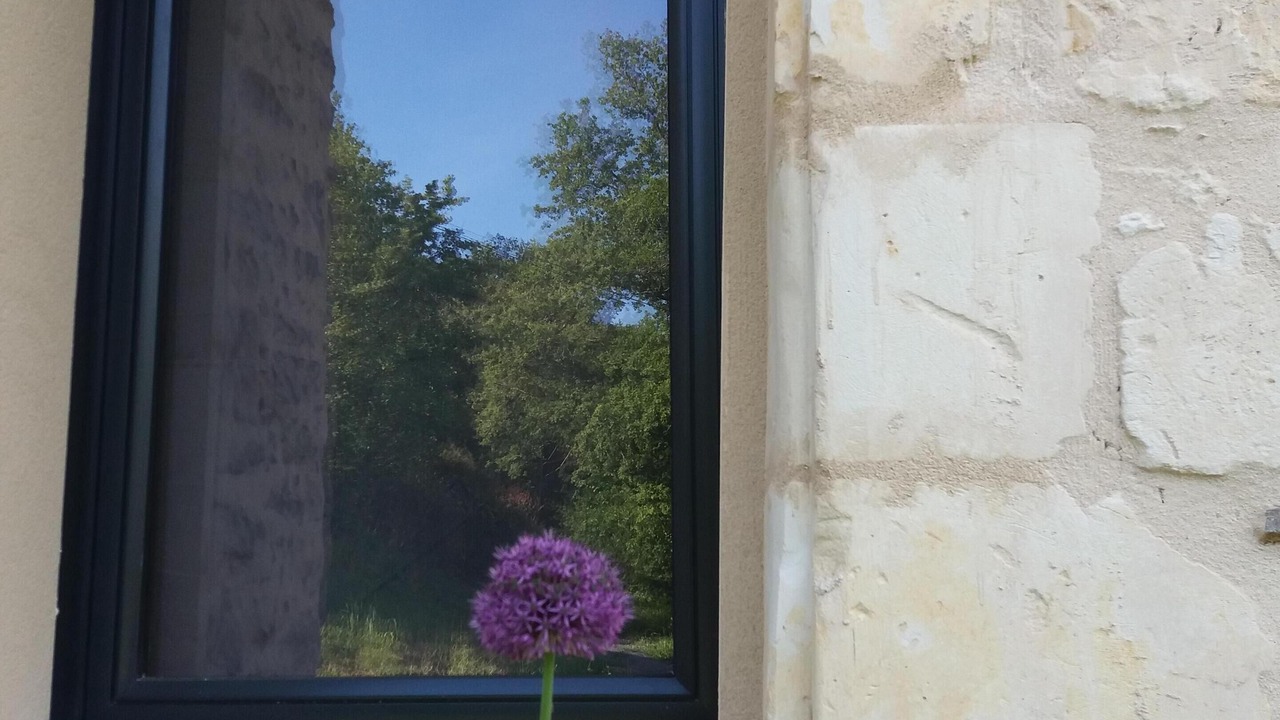 Photo of Outdoor in Le Thoureil