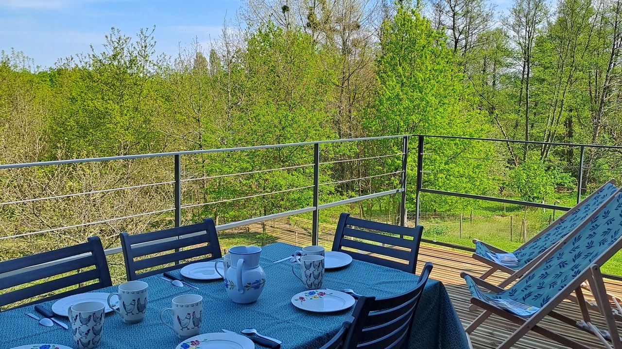 Photo of Outdoor in Le Thoureil