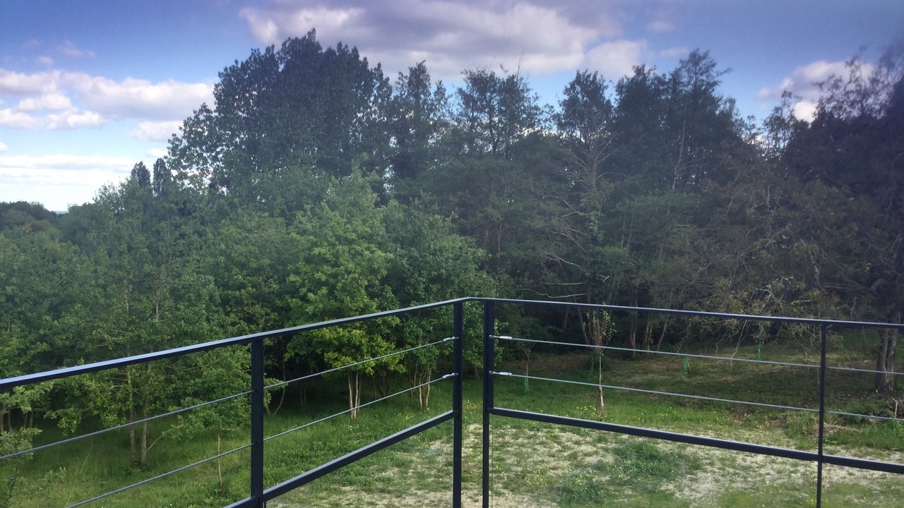 Photo of Outdoor in Le Thoureil
