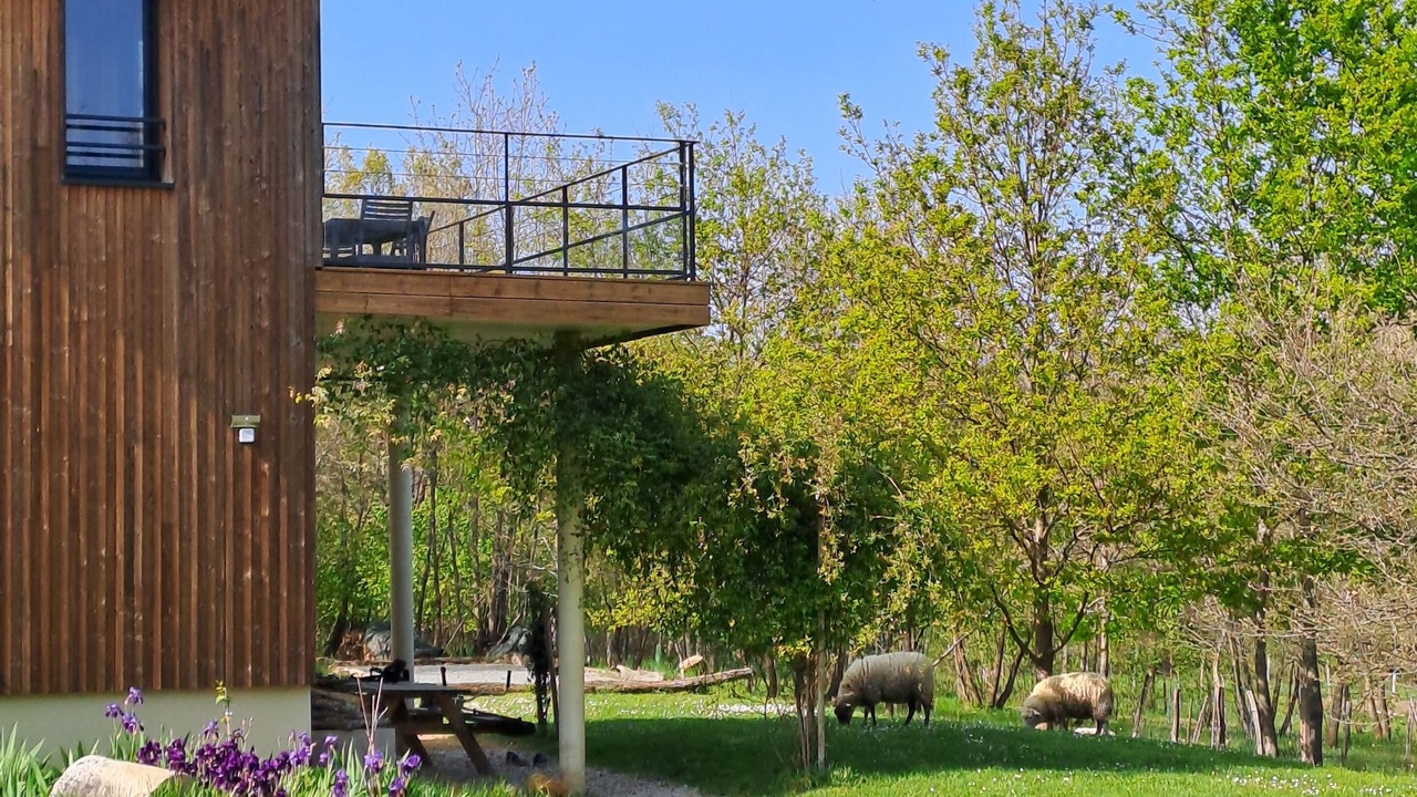Photo of Outdoor in Le Thoureil
