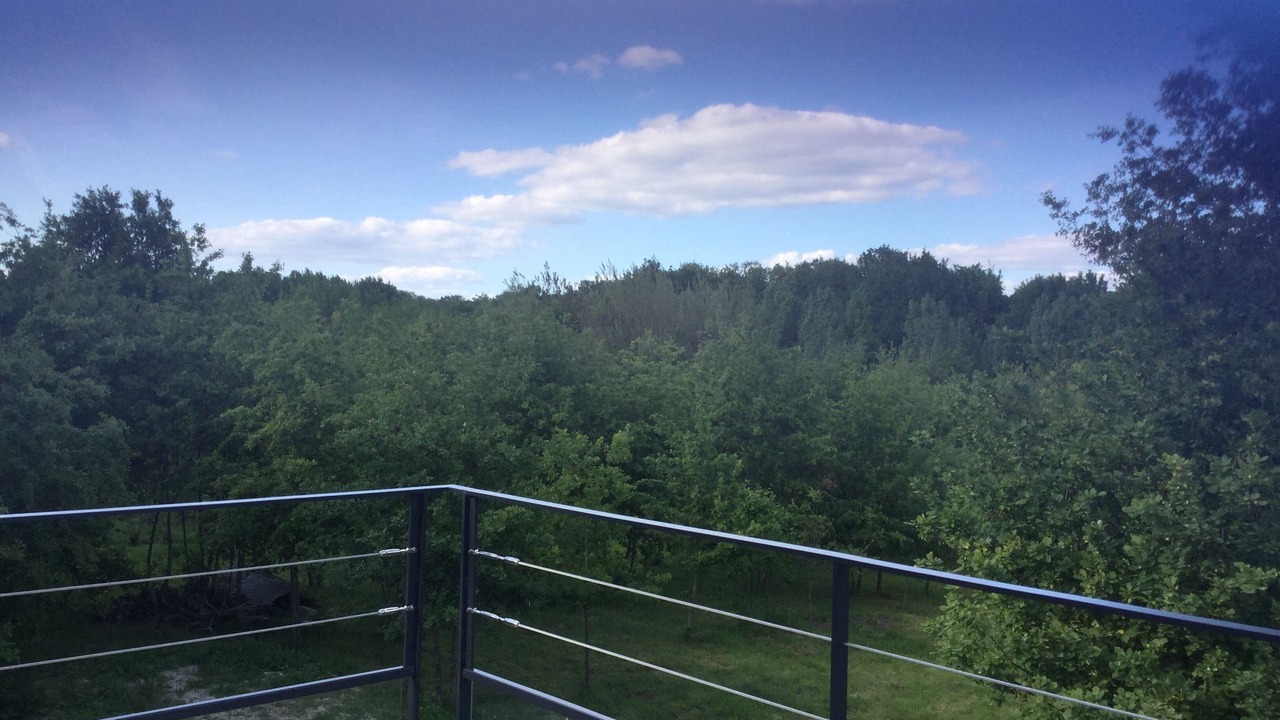 Photo of Outdoor in Le Thoureil