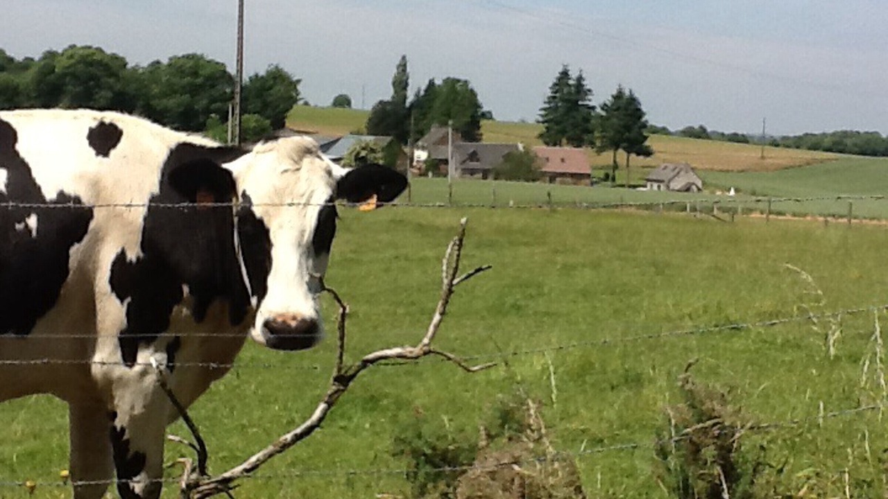 Photo of Others in L'Epinay-le-Comte