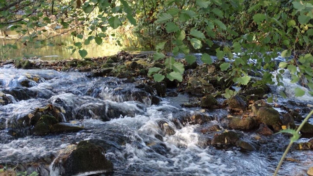 Photo of Outdoor in Lisle