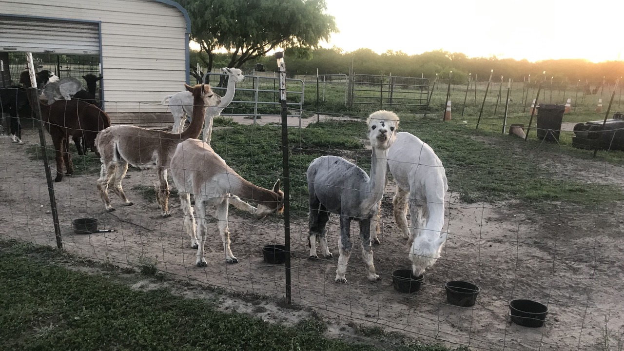 Photo of Outdoor in Lake City