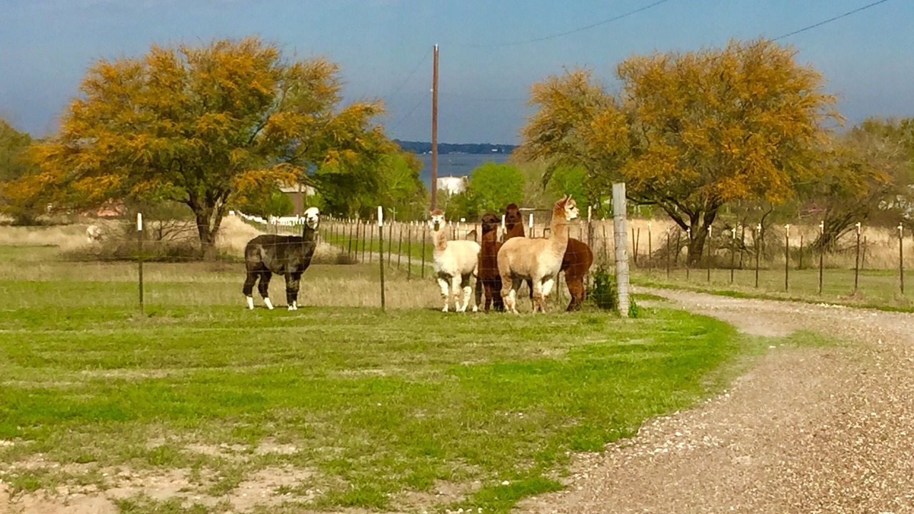 Photo of Others in Lake City