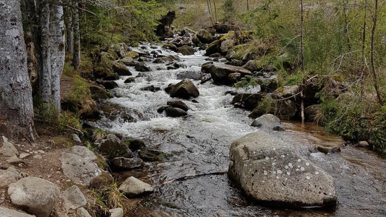Photo of Outdoor in Saint-Bonnet-le-Courreau