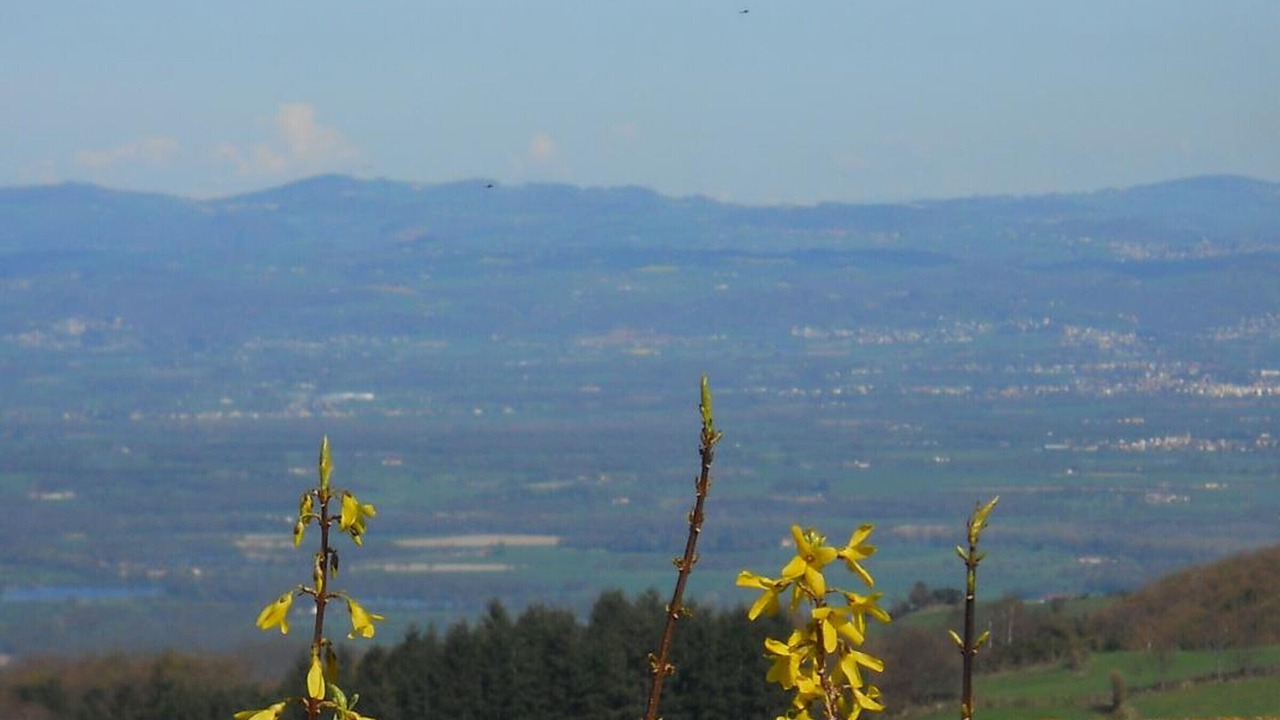 Photo of Others in Saint-Bonnet-le-Courreau