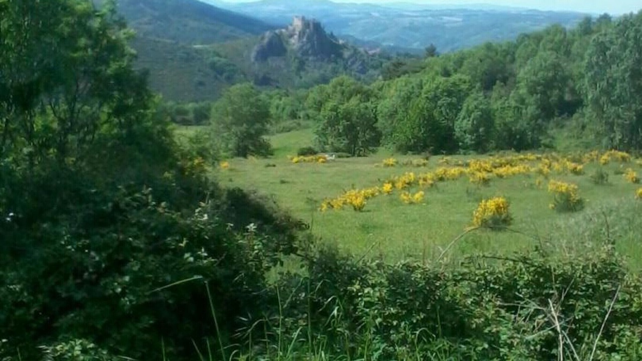 Photo of Others in Saint-Bonnet-le-Courreau