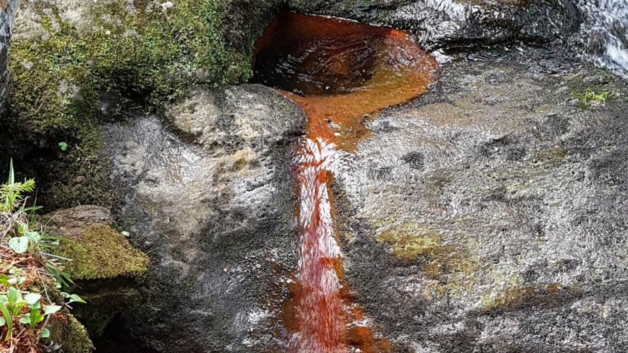 Photo of Outdoor in Saint-Bonnet-le-Courreau