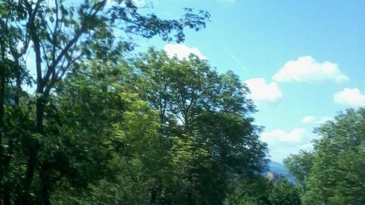 Photo of Others in Saint-Bonnet-le-Courreau