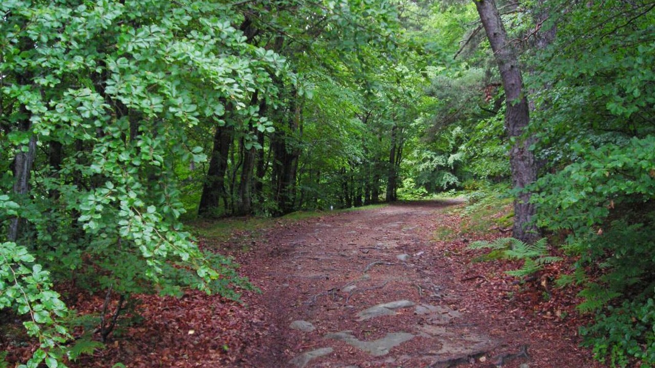 Photo of Outdoor in Saint-Bonnet-le-Courreau