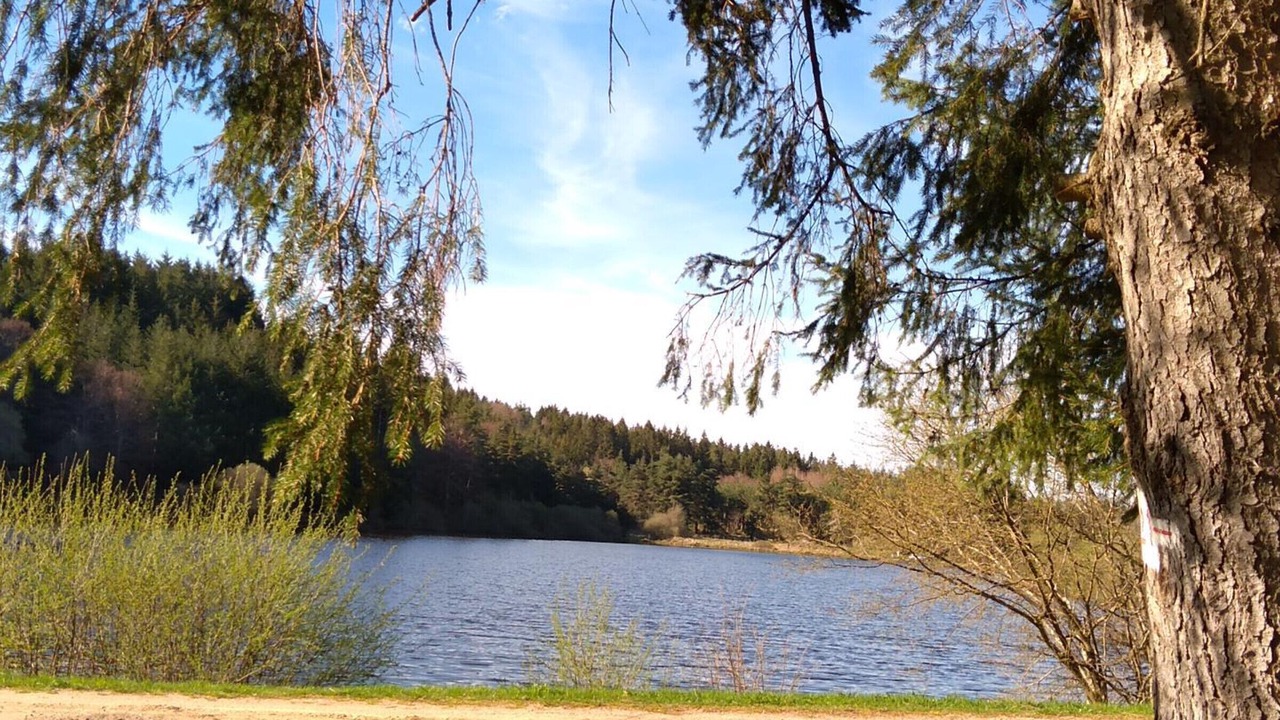 Photo of Outdoor in Merle-Leignec