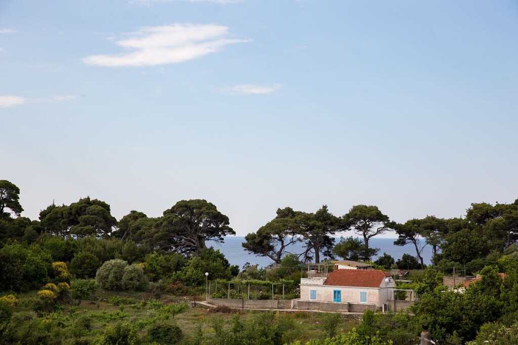 Photo of Others in Kolocep Island