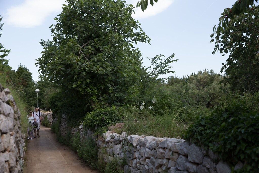 Photo of Others in Kolocep Island