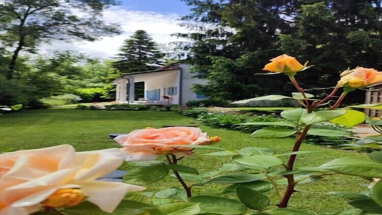 Photo of Outdoor in Bruniquel