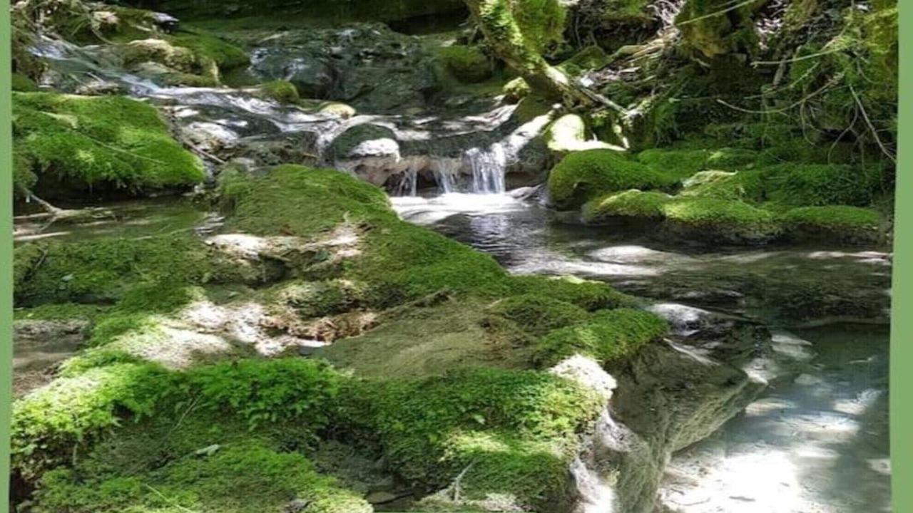 Photo of Others in Bruniquel