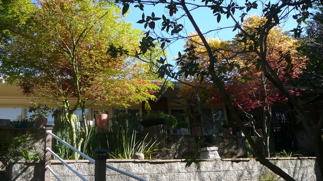 Photo of Outdoor in Orinda View
