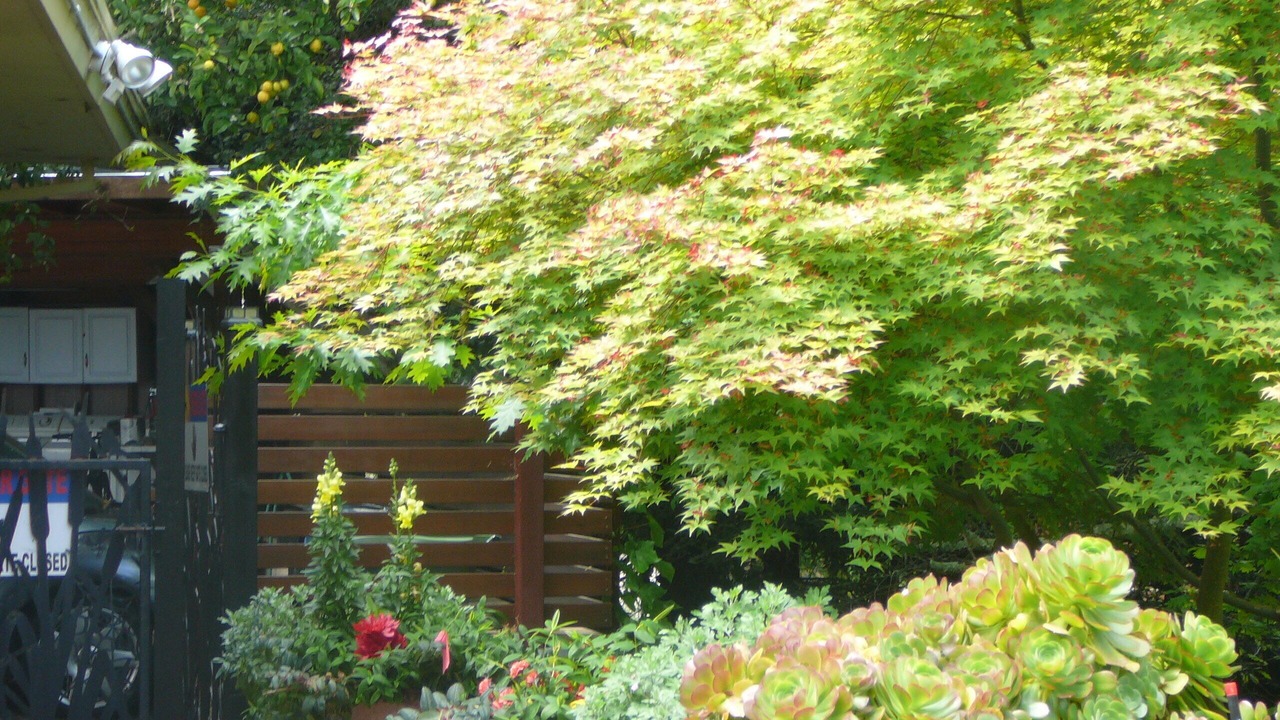 Photo of Outdoor in Orinda View
