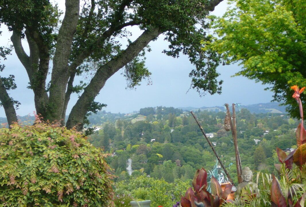 Photo of Outdoor in Orinda View