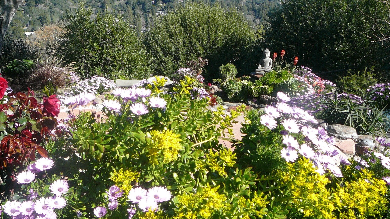 Photo of Outdoor in Orinda View