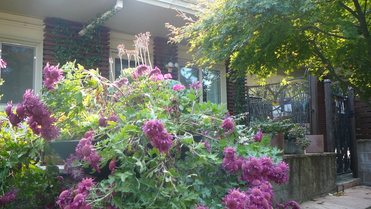 Photo of Outdoor in Orinda View