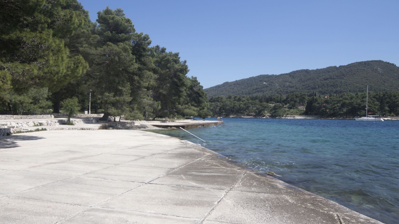 Photo of Others in Stari Grad