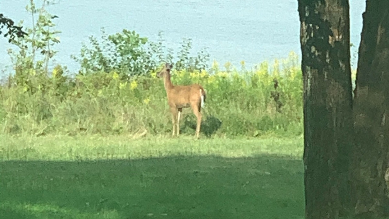 Photo of Others in Calais