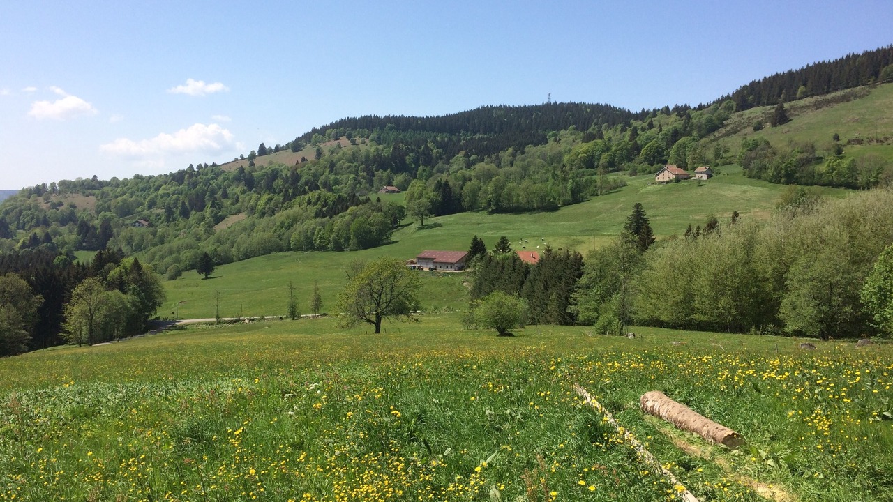 Photo of Others in Saulxures-sur-Moselotte