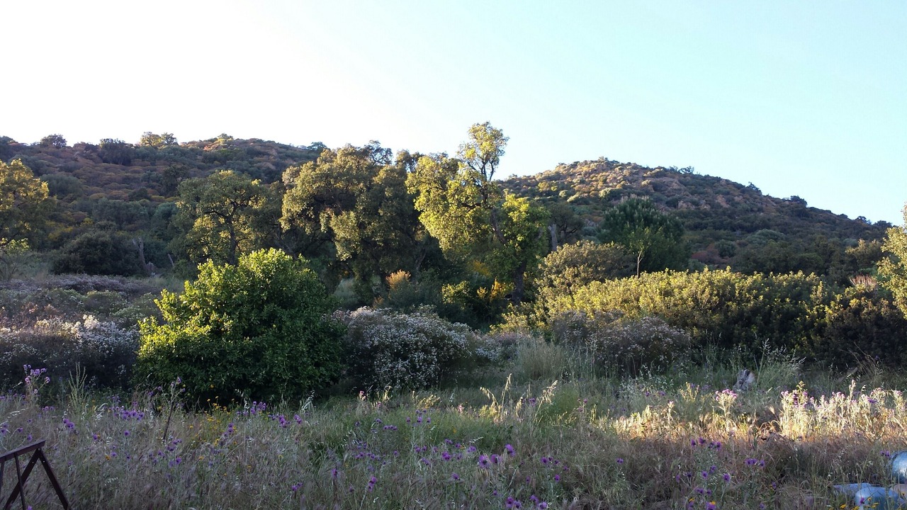 Photo of Outdoor in Le Lavandou