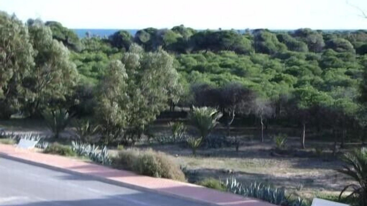 Photo of Others in Guardamar del Segura