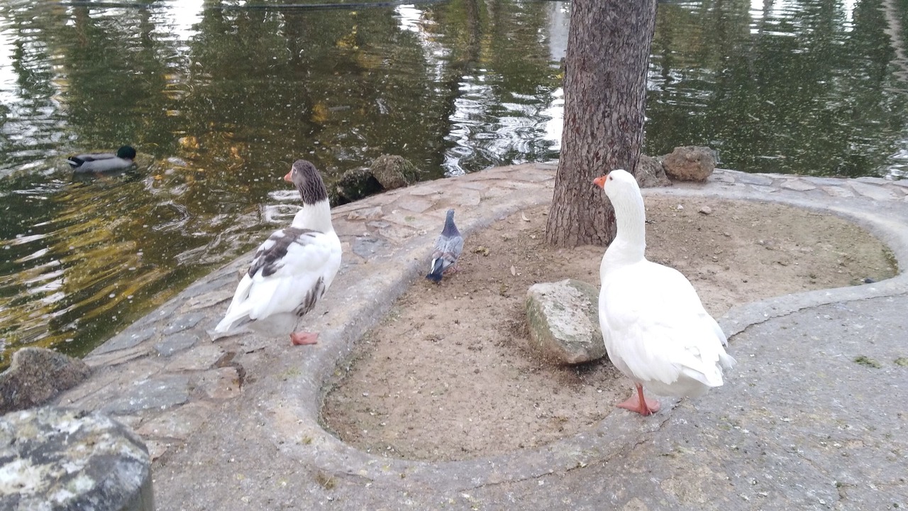Photo of Outdoor in Guardamar del Segura